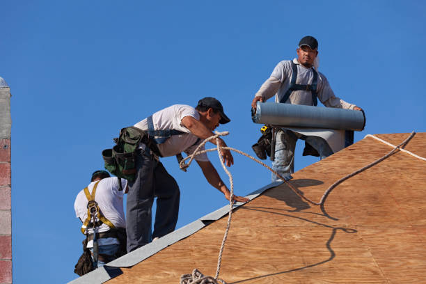 Best Roof Gutter Cleaning  in Saline, MI