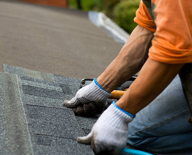 Best Roof Repair Services  in Saline, MI