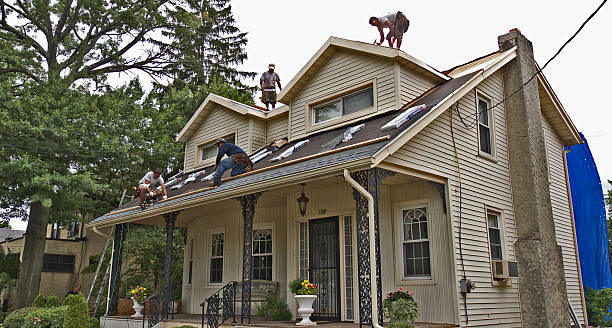 Best New Roof Installation  in Saline, MI